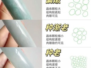 晶清与玉清水清哪个更实用：全面解读两者优劣对比及实际应用分析