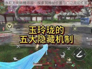 永劫无间锦鲤寻踪：探索其神秘位置与广泛用途介绍