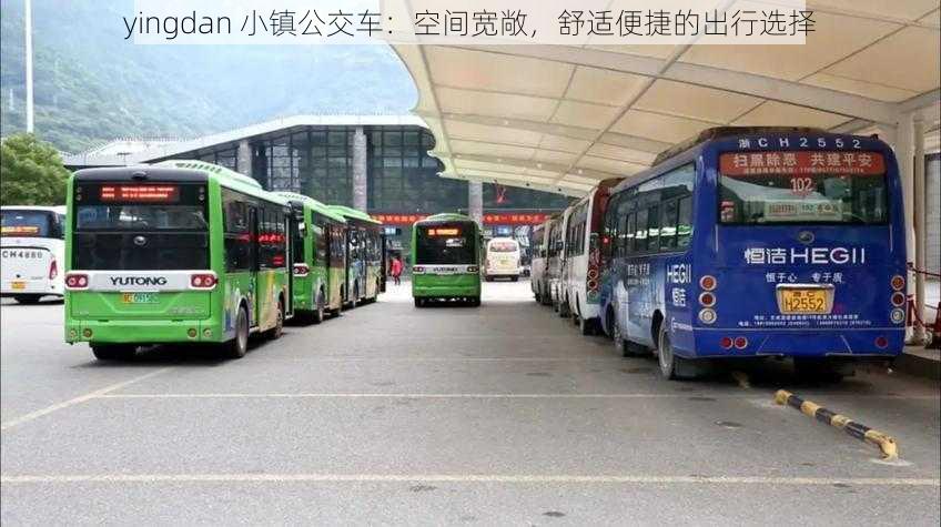 yingdan 小镇公交车：空间宽敞，舒适便捷的出行选择