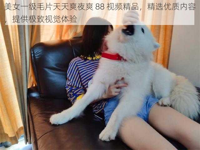 美女一级毛片天天爽夜爽 88 视频精品，精选优质内容，提供极致视觉体验