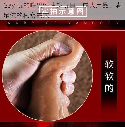 Gay 玩的嗨男性情趣玩具，成人用品，满足你的私密需求