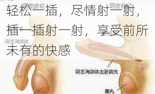 轻松一插，尽情射一射，插一插射一射，享受前所未有的快感