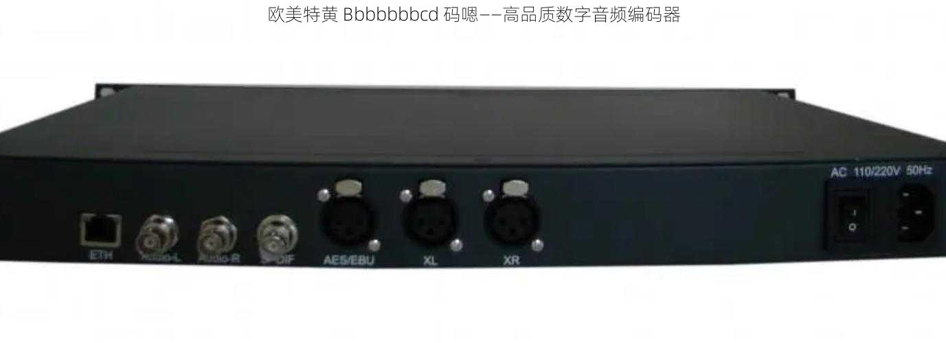 欧美特黄 Bbbbbbbcd 码嗯——高品质数字音频编码器