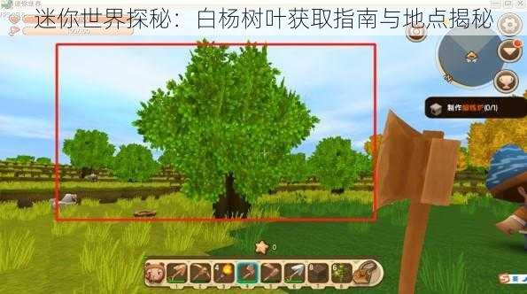 迷你世界探秘：白杨树叶获取指南与地点揭秘