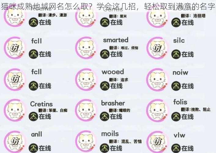 猫咪成熟地域网名怎么取？学会这几招，轻松取到满意的名字