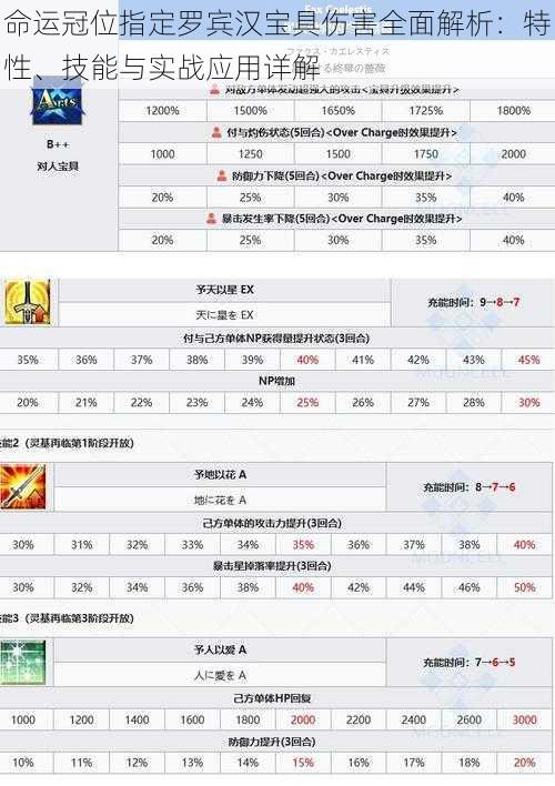 命运冠位指定罗宾汉宝具伤害全面解析：特性、技能与实战应用详解