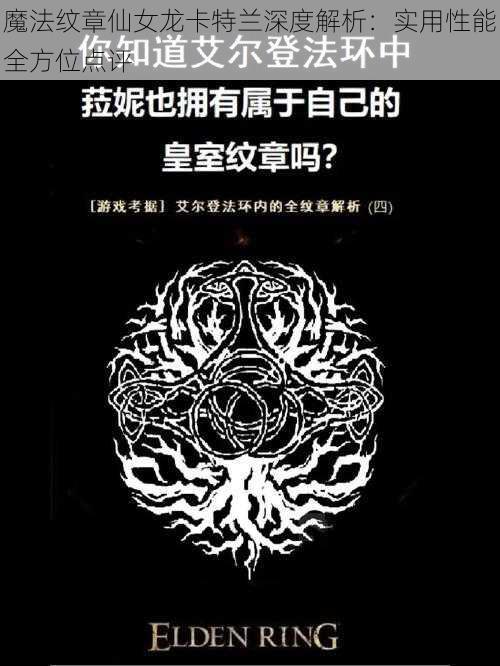 魔法纹章仙女龙卡特兰深度解析：实用性能全方位点评