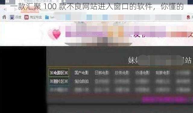 一款汇聚 100 款不良网站进入窗口的软件，你懂的