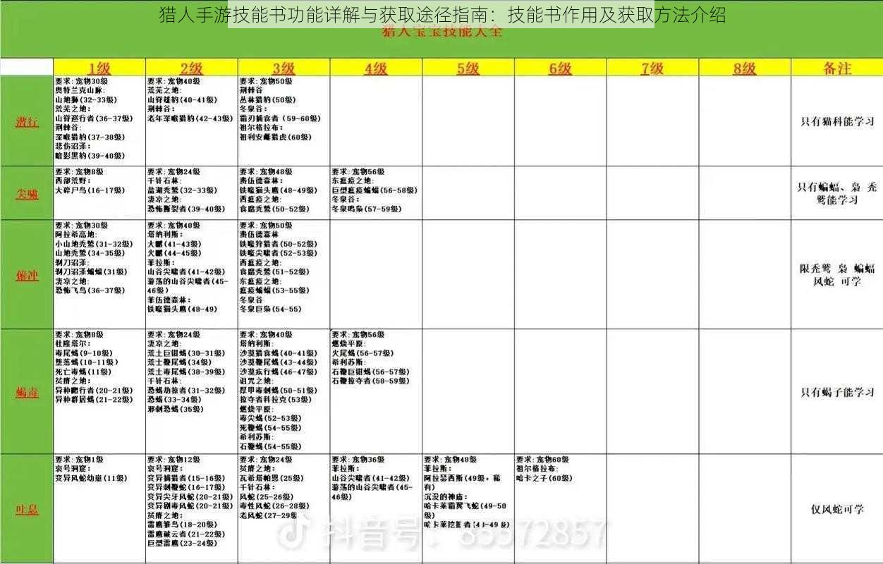 猎人手游技能书功能详解与获取途径指南：技能书作用及获取方法介绍