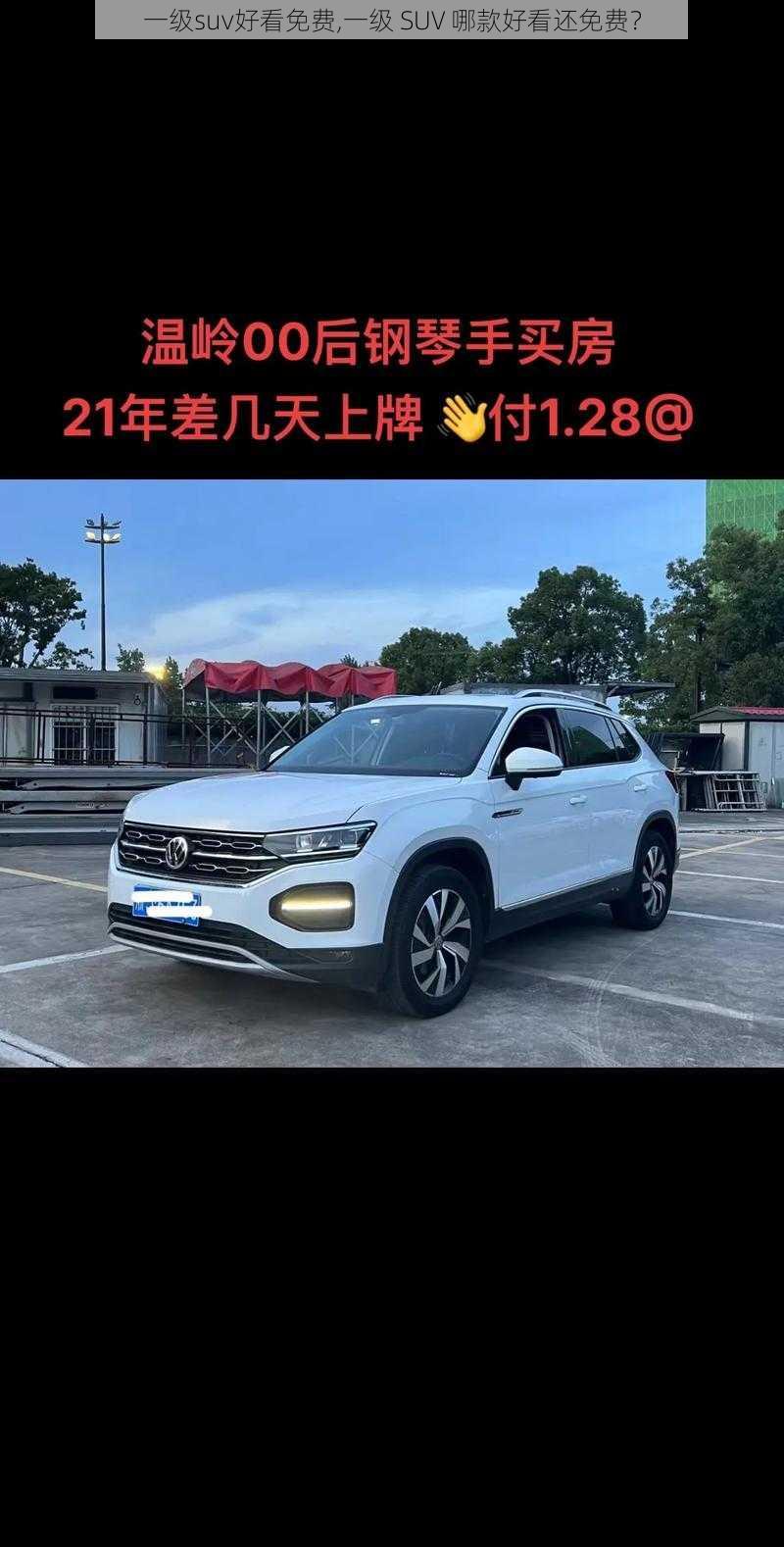 一级suv好看免费,一级 SUV 哪款好看还免费？