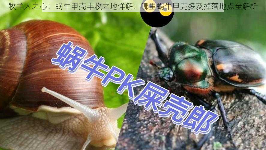 牧羊人之心：蜗牛甲壳丰收之地详解：哪里蜗牛甲壳多及掉落地点全解析