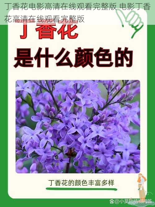 丁香花电影高清在线观看完整版 电影丁香花高清在线观看完整版