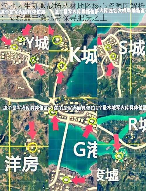 绝地求生刺激战场丛林地图核心资源区解析：揭秘最丰饶地带探寻肥沃之土