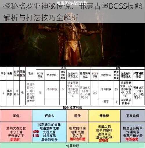 探秘格罗亚神秘传说：邪寒古堡BOSS技能解析与打法技巧全解析