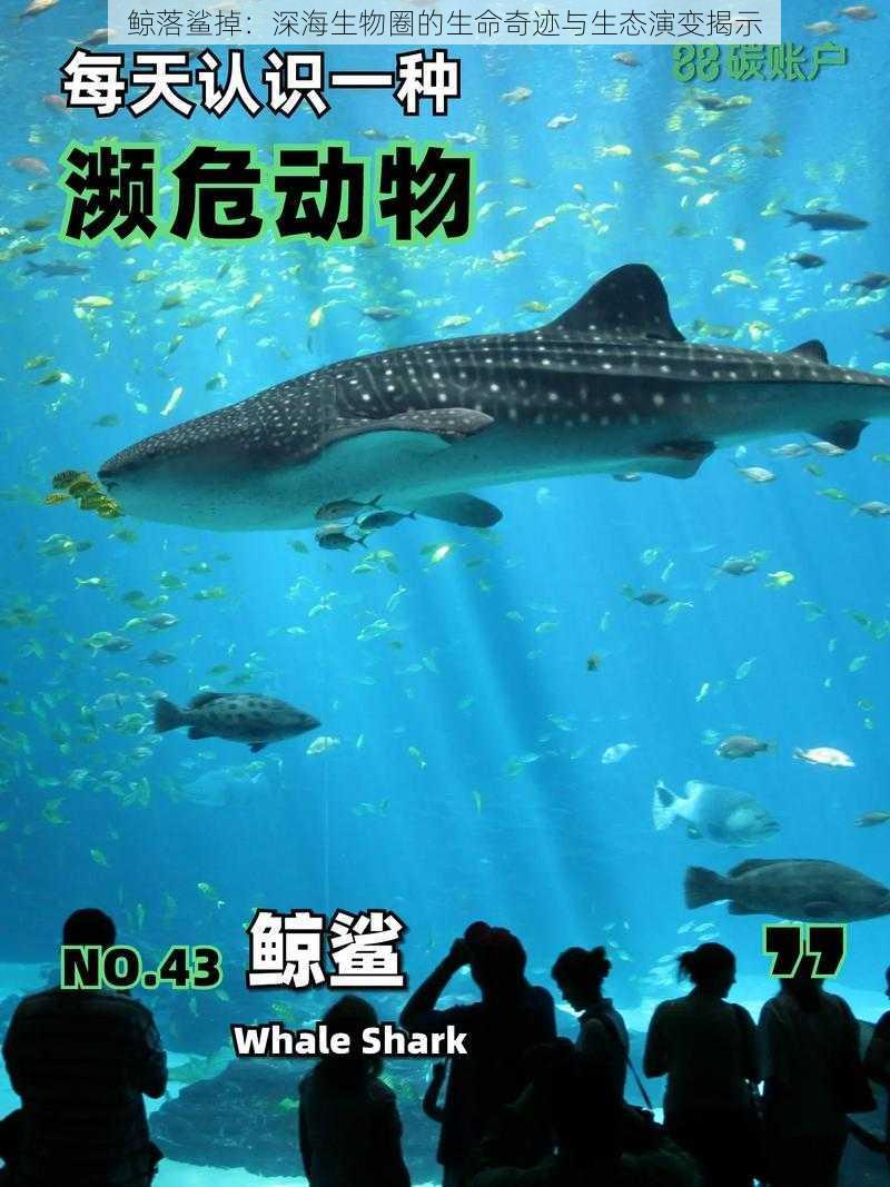 鲸落鲨掉：深海生物圈的生命奇迹与生态演变揭示