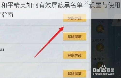 和平精英如何有效屏蔽黑名单：设置与使用指南