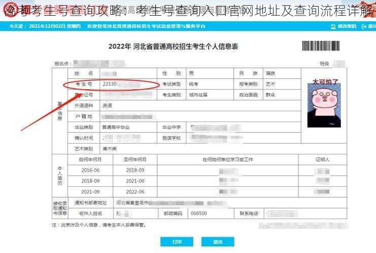 高考考生号查询攻略：考生号查询入口官网地址及查询流程详解