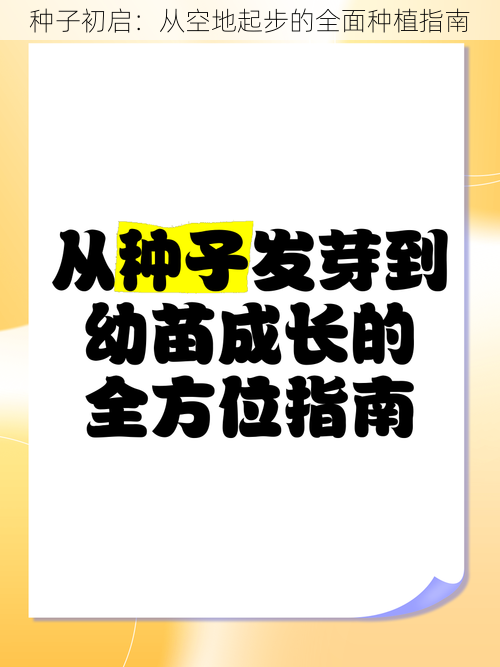 种子初启：从空地起步的全面种植指南