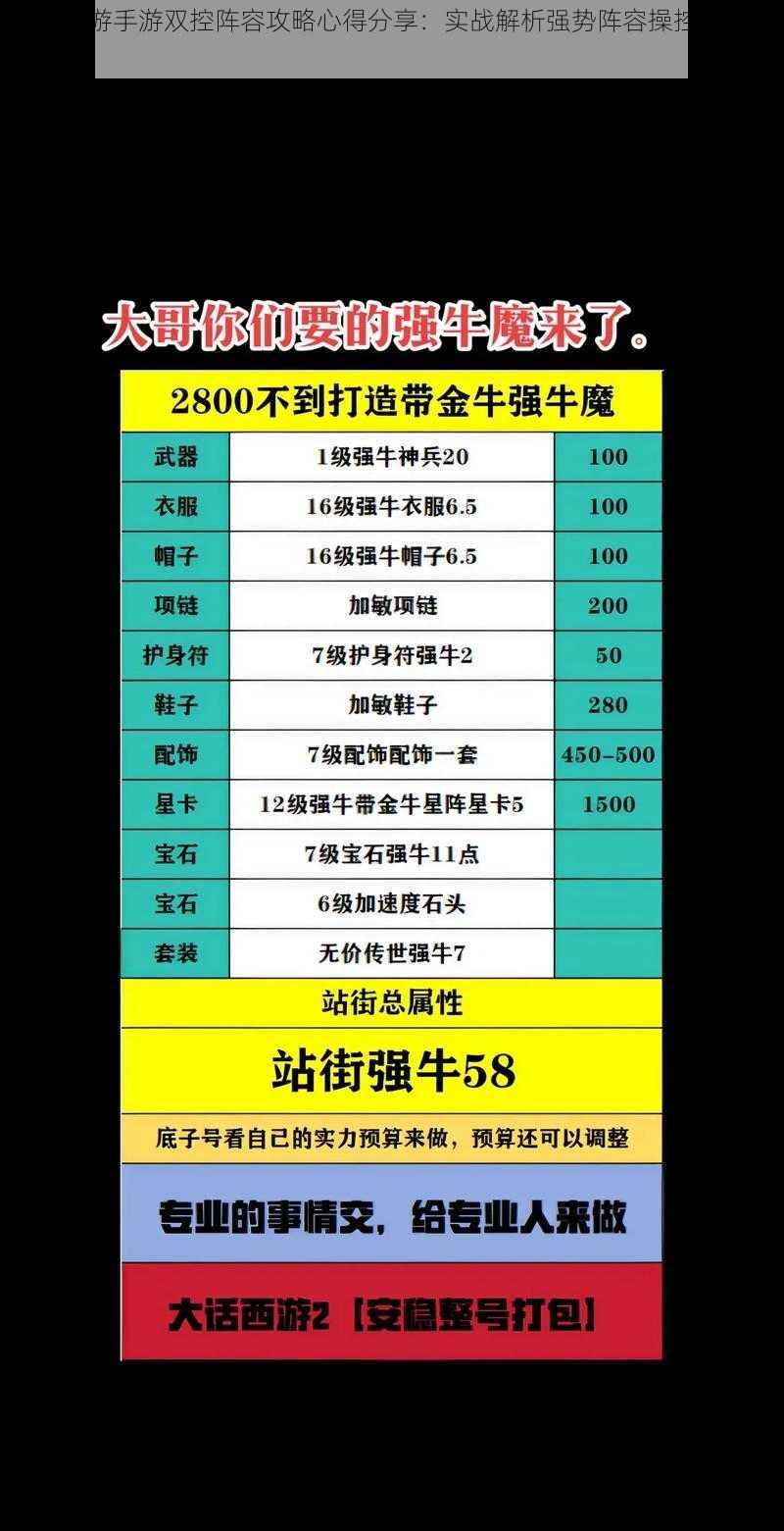 大话西游手游双控阵容攻略心得分享：实战解析强势阵容操控与策略运用