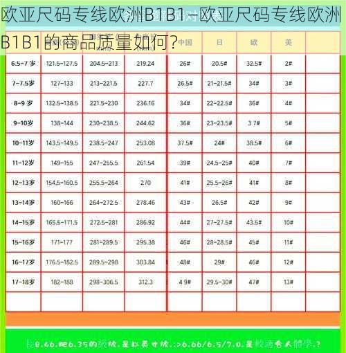 欧亚尺码专线欧洲B1B1—欧亚尺码专线欧洲 B1B1的商品质量如何？