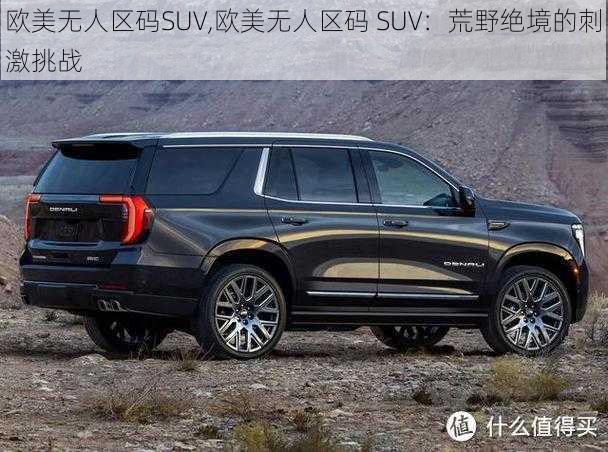 欧美无人区码SUV,欧美无人区码 SUV：荒野绝境的刺激挑战