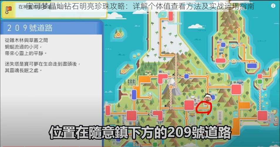 宝可梦晶灿钻石明亮珍珠攻略：详解个体值查看方法及实战运用指南