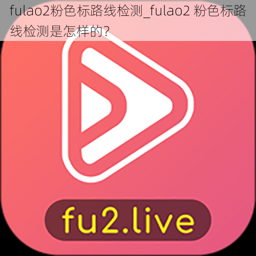 fulao2粉色标路线检测_fulao2 粉色标路线检测是怎样的？