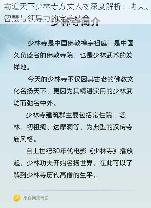 霸道天下少林寺方丈人物深度解析：功夫、智慧与领导力的完美结合