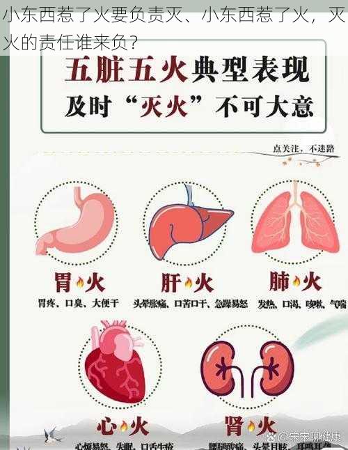 小东西惹了火要负责灭、小东西惹了火，灭火的责任谁来负？