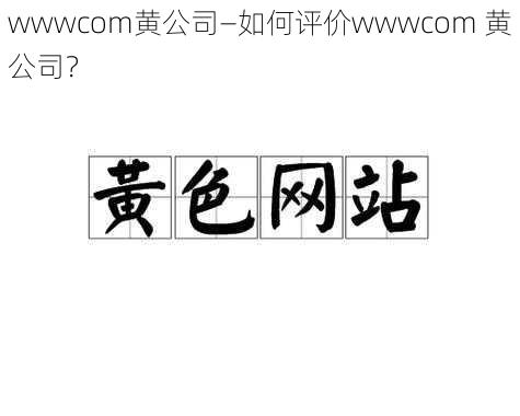 wwwcom黄公司—如何评价wwwcom 黄公司？