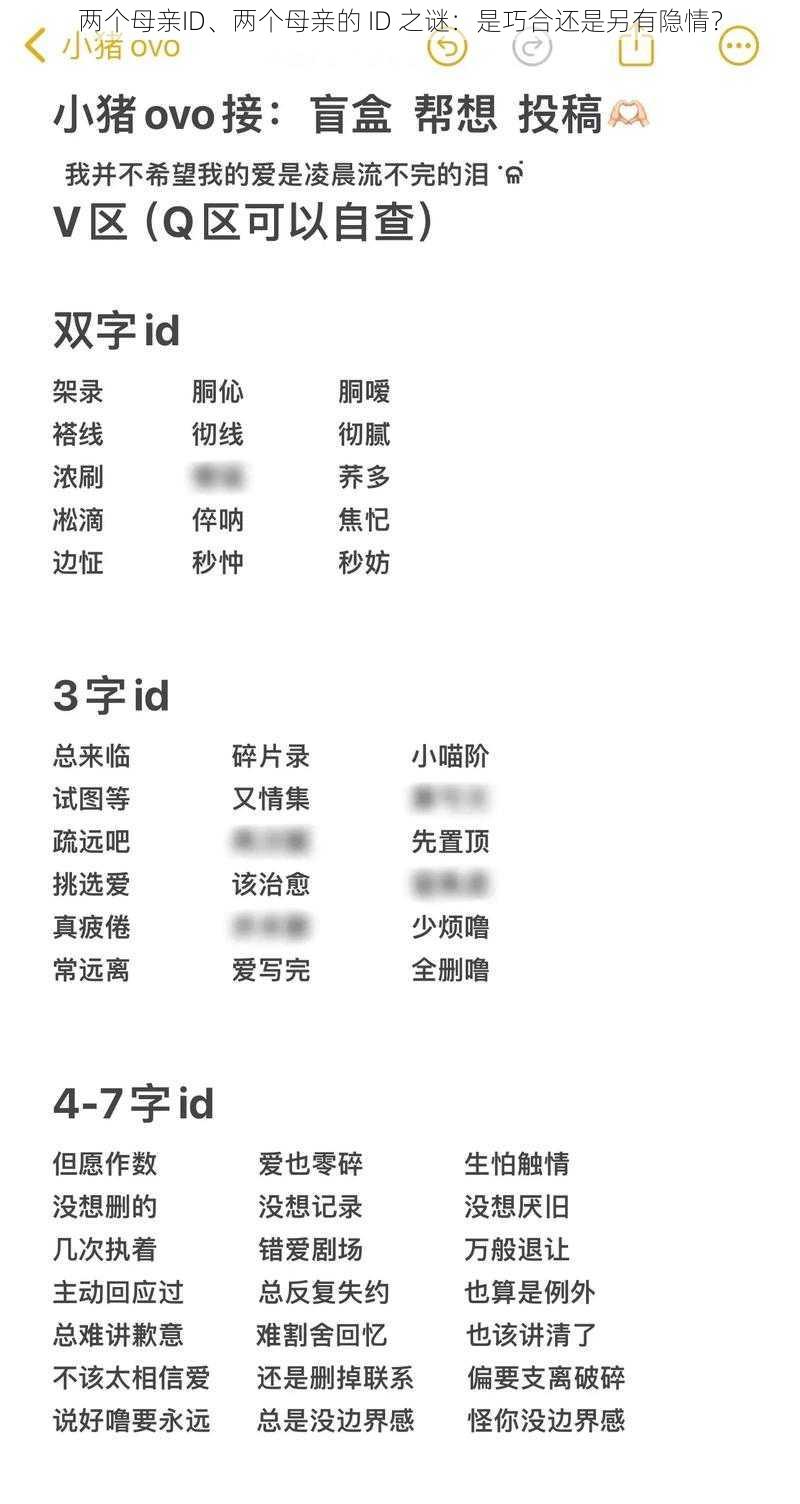 两个母亲ID、两个母亲的 ID 之谜：是巧合还是另有隐情？