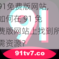 91免费版网站,如何在 91 免费版网站上找到所需资源？