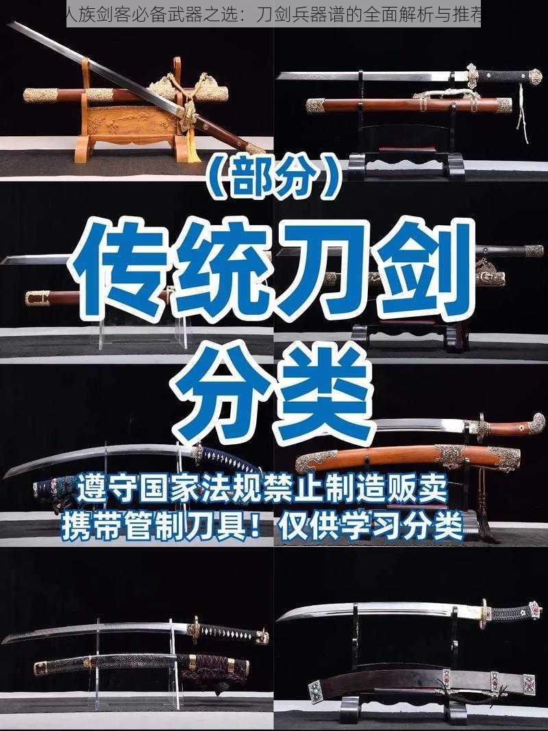 人族剑客必备武器之选：刀剑兵器谱的全面解析与推荐