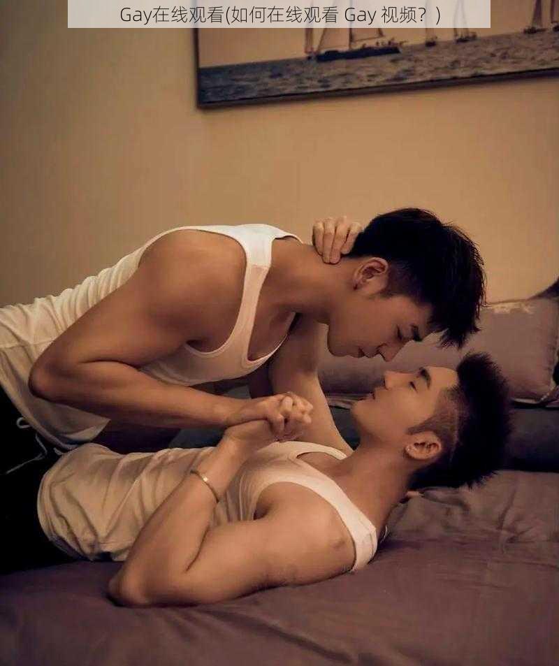 Gay在线观看(如何在线观看 Gay 视频？)