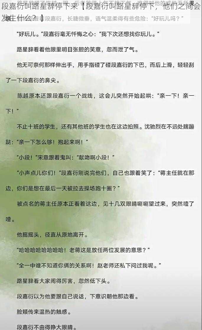 段嘉衍叫路星辞停下来【段嘉衍叫路星辞停下，他们之间会发生什么？】