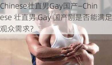 Chinese壮直男Gay国产—Chinese 壮直男 Gay 国产剧是否能满足观众需求？