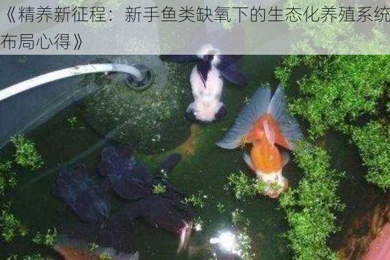 《精养新征程：新手鱼类缺氧下的生态化养殖系统布局心得》