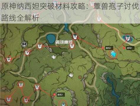 原神纳西妲突破材料攻略：蕈兽孢子讨伐路线全解析