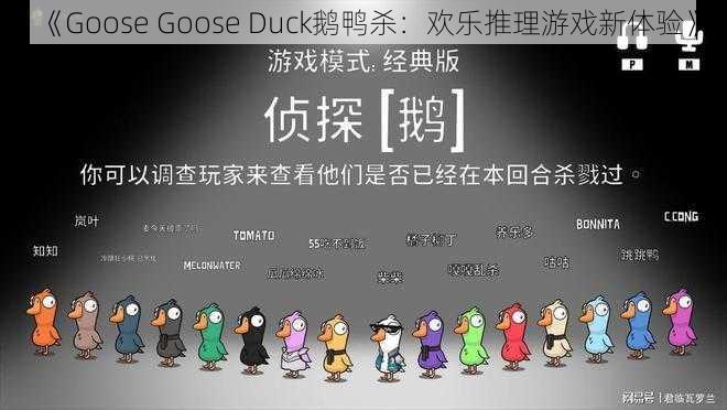 《Goose Goose Duck鹅鸭杀：欢乐推理游戏新体验》