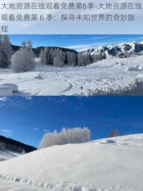 大地资源在线观看免费第6季-大地资源在线观看免费第 6 季：探寻未知世界的奇妙旅程