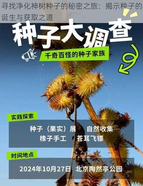 寻找净化神树种子的秘密之旅：揭示种子的诞生与获取之道