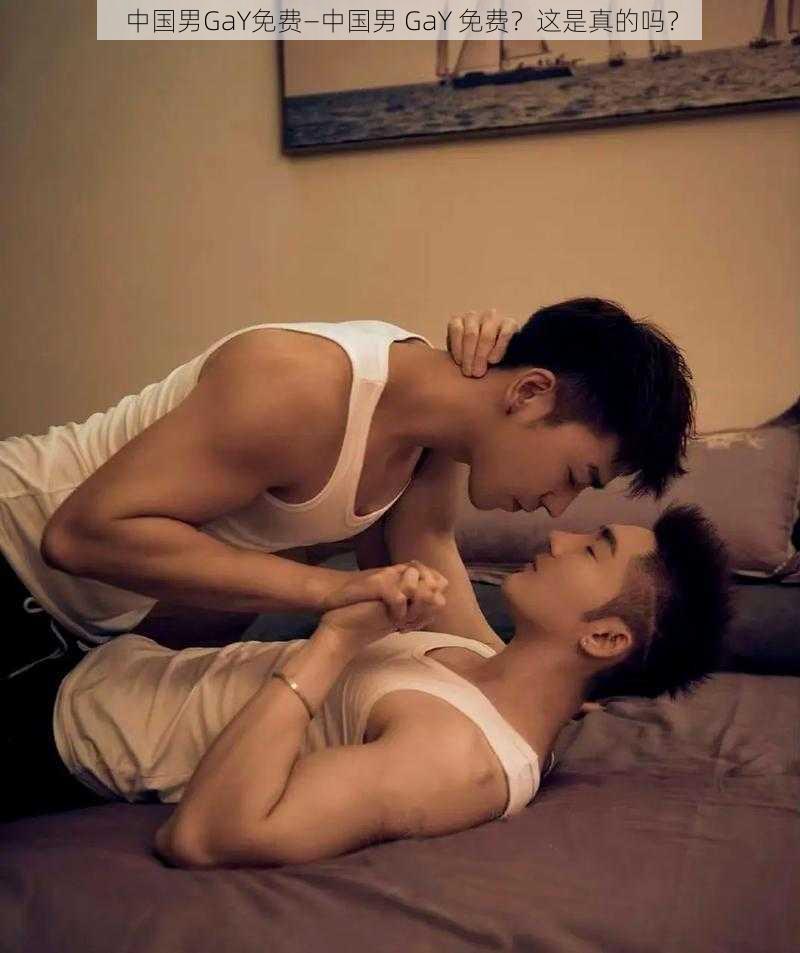 中国男GaY免费—中国男 GaY 免费？这是真的吗？