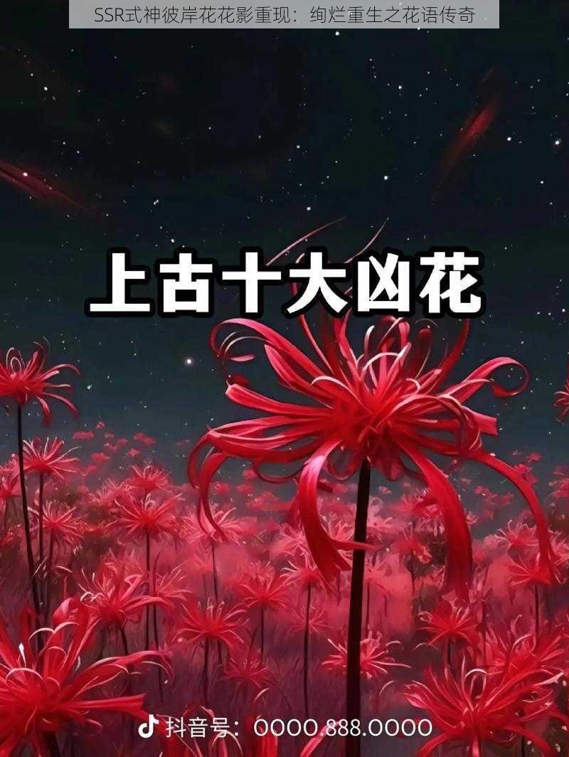 SSR式神彼岸花花影重现：绚烂重生之花语传奇