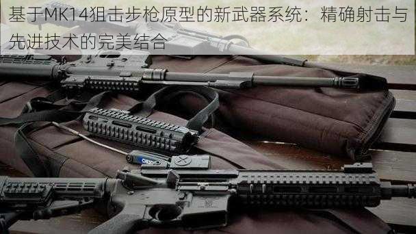 基于MK14狙击步枪原型的新武器系统：精确射击与先进技术的完美结合