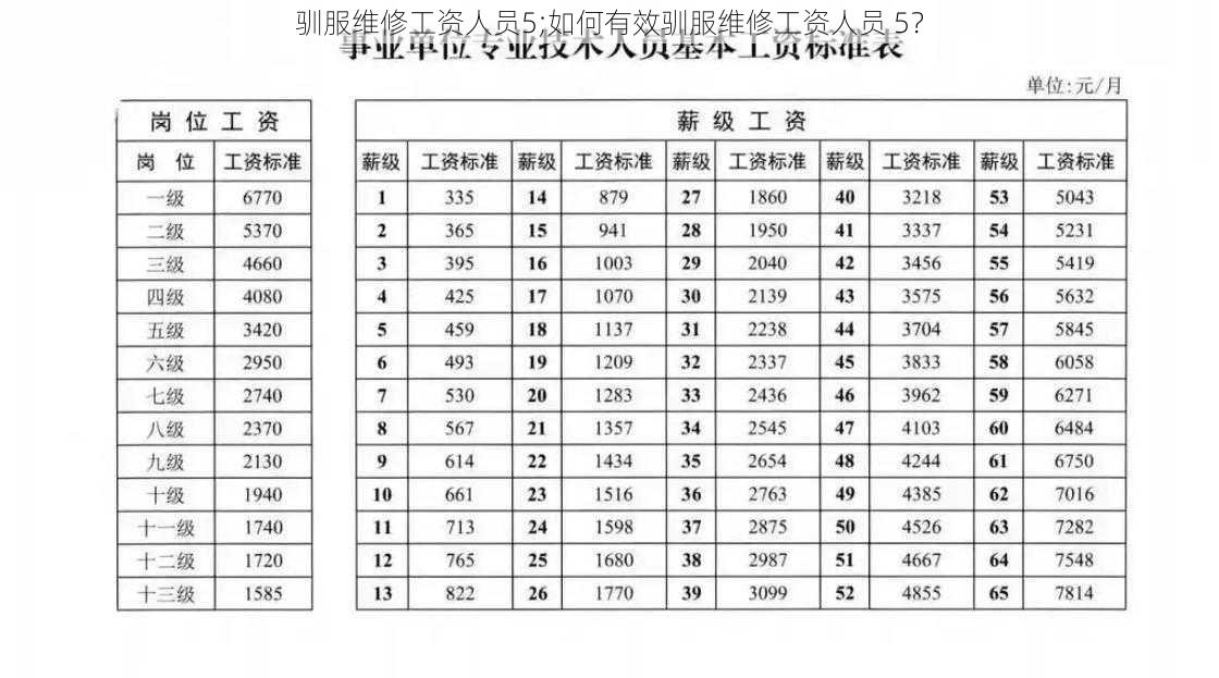 驯服维修工资人员5;如何有效驯服维修工资人员 5？