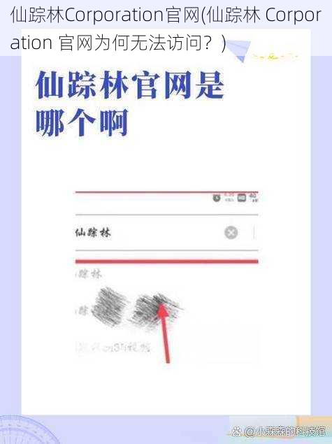 仙踪林Corporation官网(仙踪林 Corporation 官网为何无法访问？)