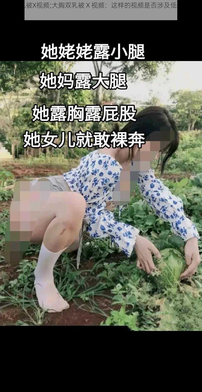 大胸双乳被X视频;大胸双乳被 X 视频：这样的视频是否涉及低俗色情信息？