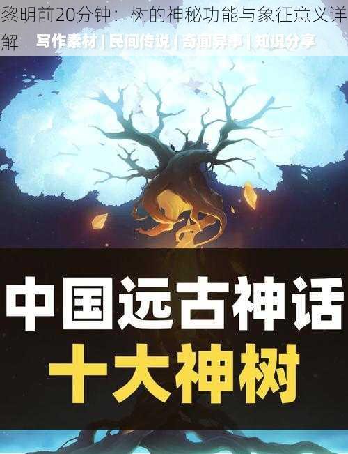 黎明前20分钟：树的神秘功能与象征意义详解