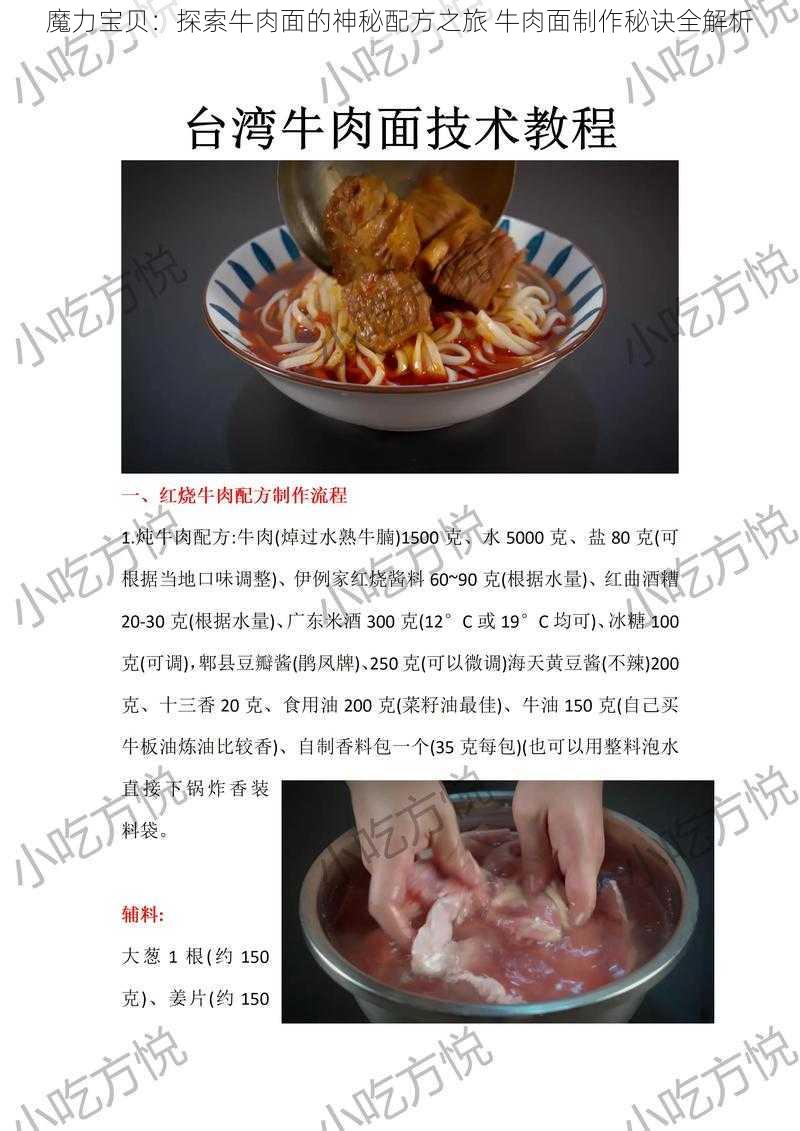 魔力宝贝：探索牛肉面的神秘配方之旅 牛肉面制作秘诀全解析