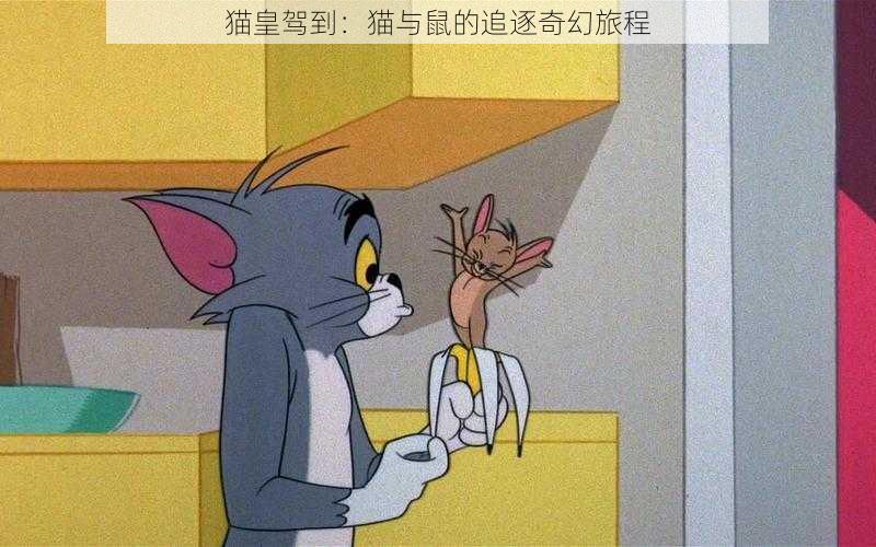 猫皇驾到：猫与鼠的追逐奇幻旅程